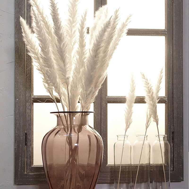 Reed dried flower